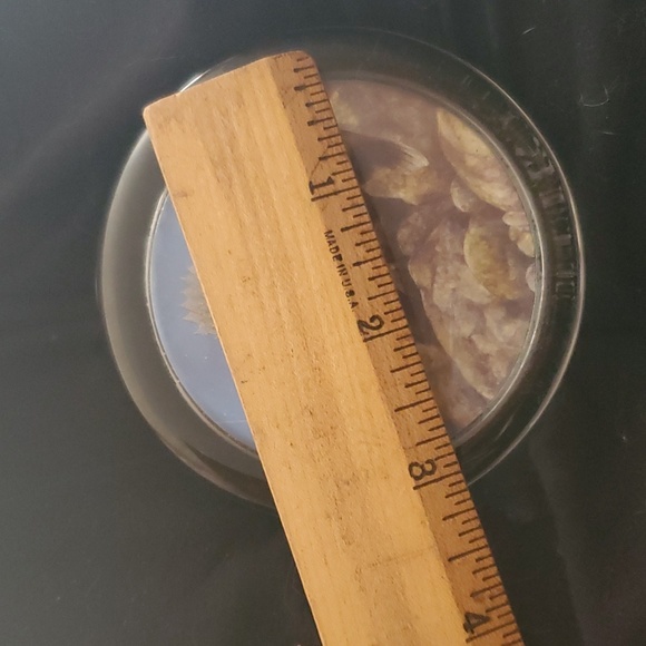 Vintage Enesco BASS FISH Glass Paperweight-Foil Art Fishing Made in England 3.5" - Picture 6 of 6